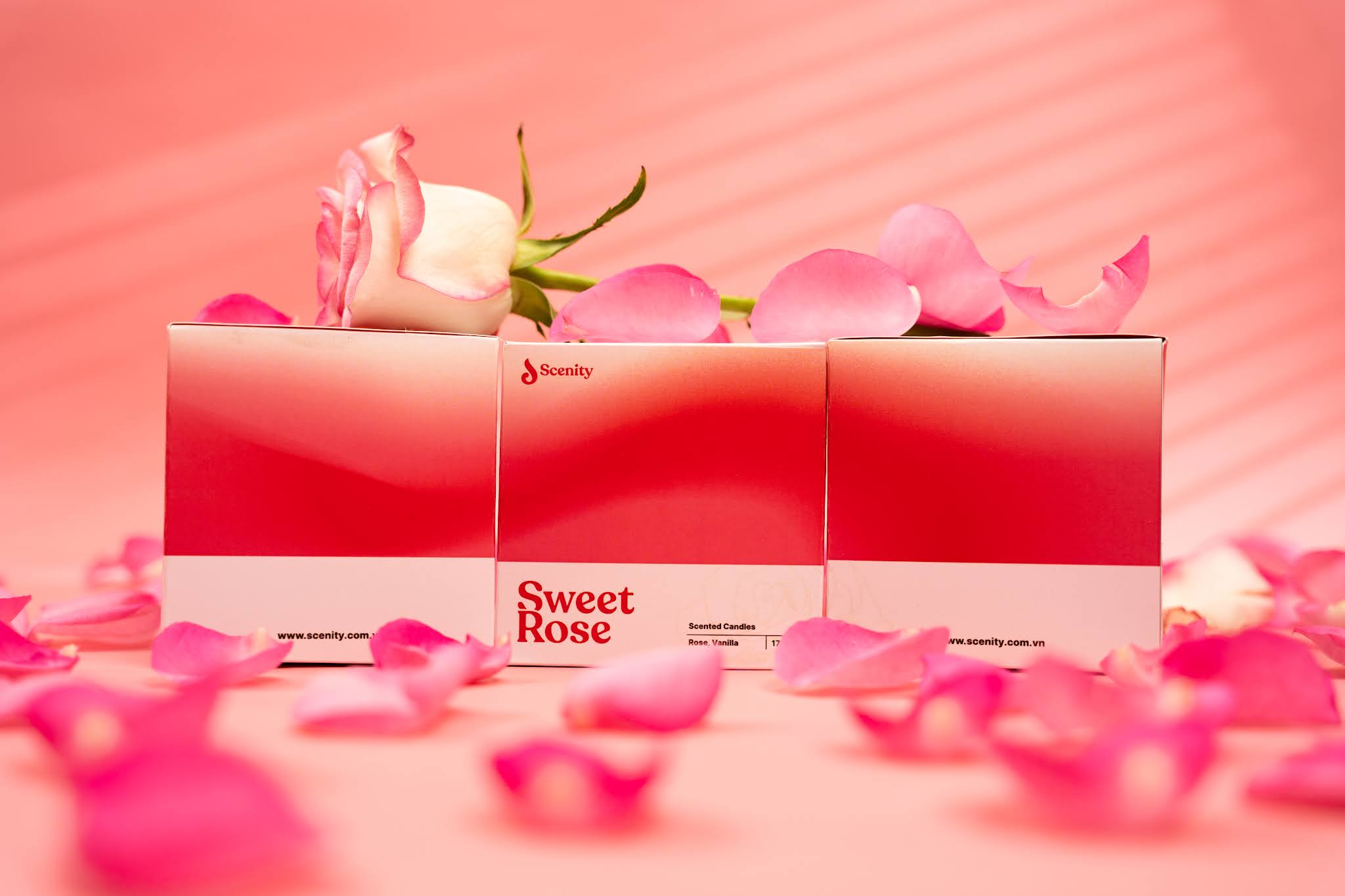 香薰品牌的包裝怎么設(shè)計(jì)(圖3)