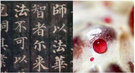 不喝白酒,就喝御石榴酒(圖2) 不喝白酒,就喝御石榴酒(圖2)