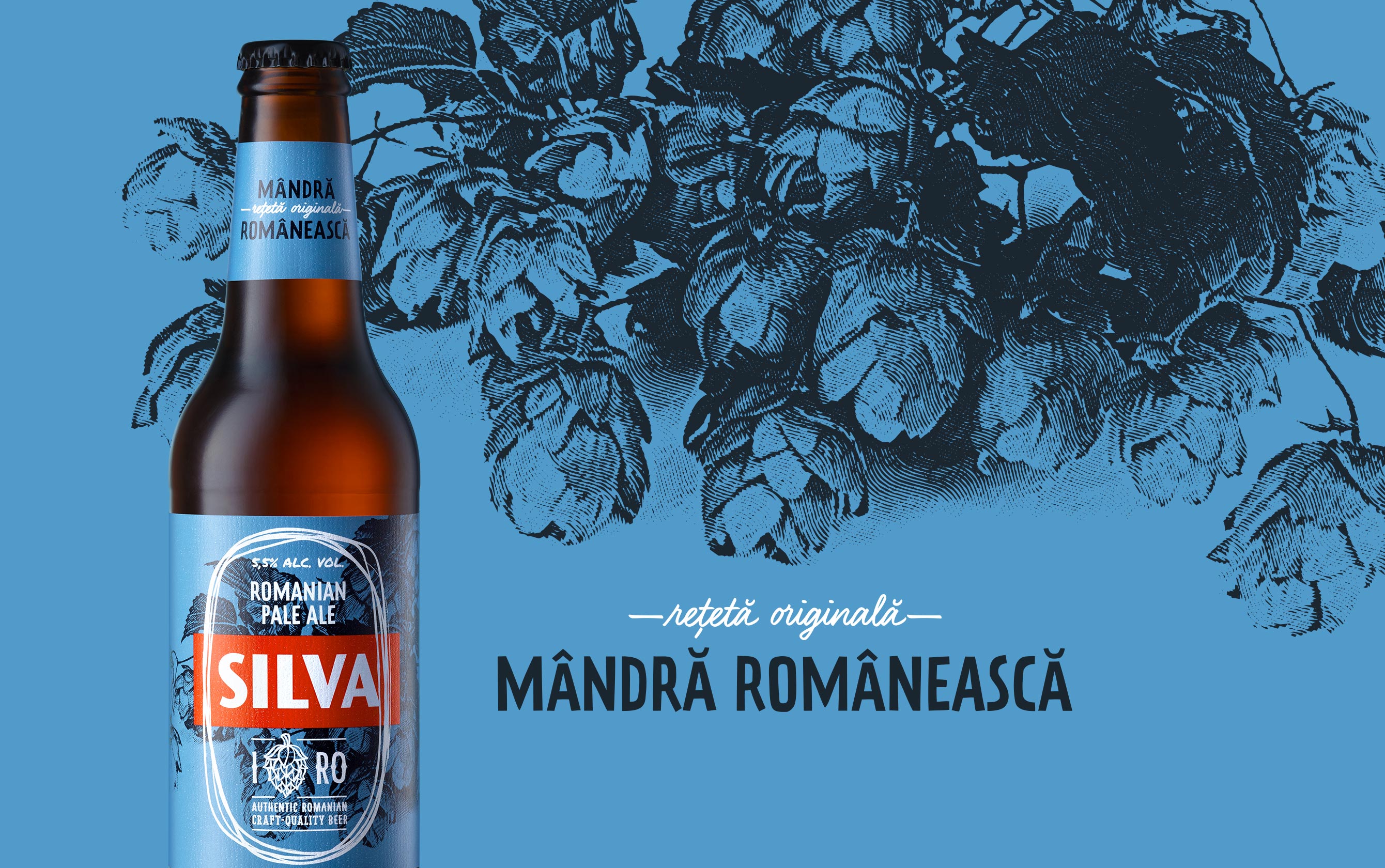 ?Silva啤酒包裝設計參考(圖3)