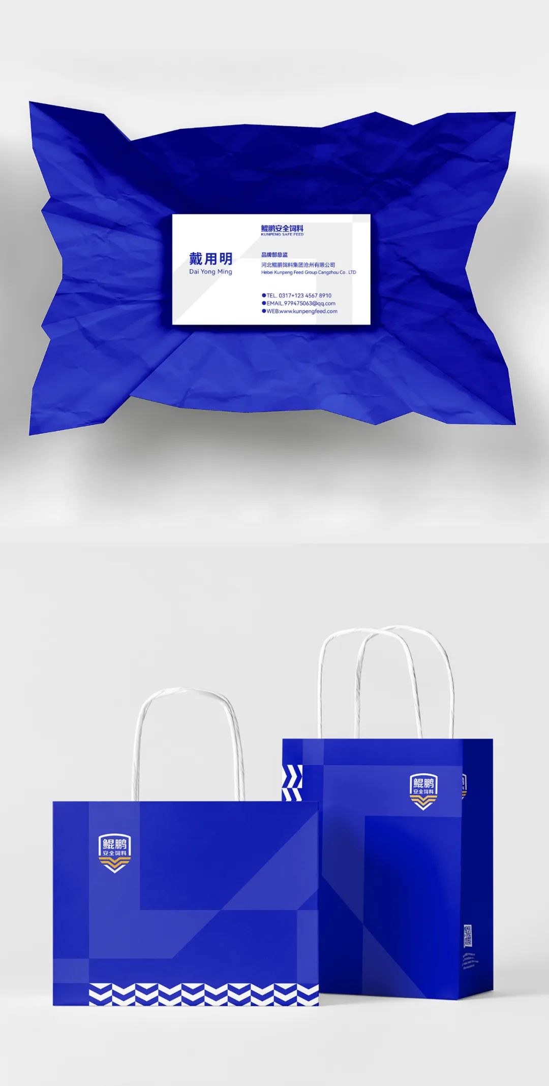 鯤鵬飼料品牌升級為鯤鵬安全飼料進一步強化品牌優勢(圖14)