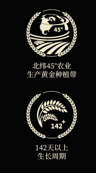 四喜如何通過(guò)包裝設(shè)計(jì)，讓金鶴黑珍珠大米彰顯高端定位(圖4)