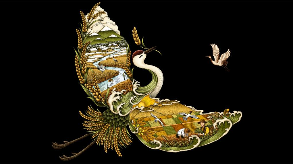 四喜如何通過(guò)包裝設(shè)計(jì)，讓金鶴黑珍珠大米彰顯高端定位(圖6)