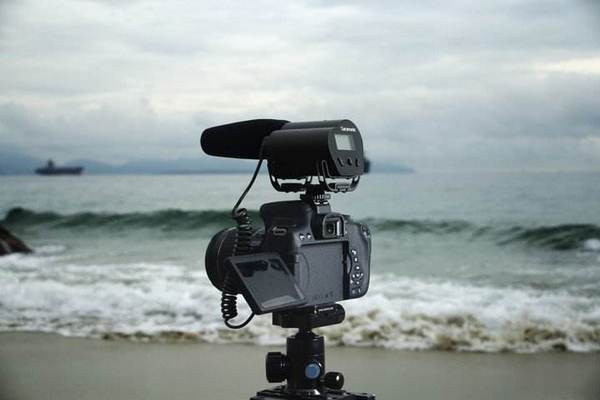 楓笛品牌logo設計欣賞與分析(圖1) 楓笛品牌logo設計欣賞與分析(圖1)