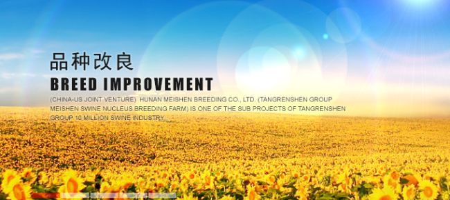 TRS唐人神品牌logo與產(chǎn)品包裝設(shè)計欣賞(圖3)