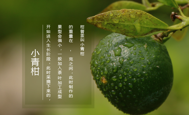 柑普人家 柑普人家食品包裝設(shè)計欣賞(圖2)